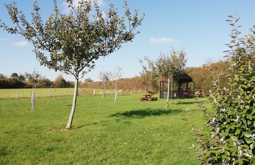West Milton Cottage | Large, cosy Self Catering Cottage Set In Beautiful Countryside. Pet friendly