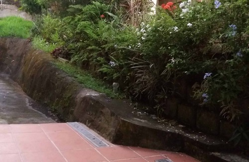 Fort-de-France Apartment | Large F2, fiber, spa, air conditioning, garden, parking