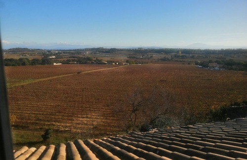 Saint-Marcel-d'Aredeche House | Large Family House in Provence with Swimming pool in nature South Ardèche