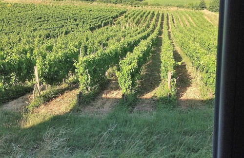 Saint-Laurent-des-Combes House | Large house, sleeps 10, in the heart of the Saint-Emilion vineyards
