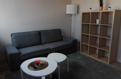Saint-Etienne Condo | Large high standing apartment center and faculties