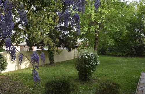 Ambares-et-Lagrave Apartment | Large independent studio near Bordeaux