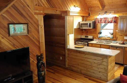 Zoe Cabin | Large Log home, private pond with dock, canoe, pool table, hot tub & internet.