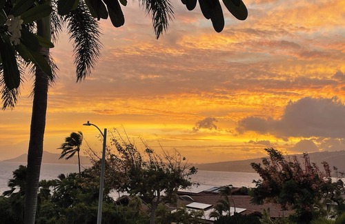 Honolulu House | Large Luxury Home w/pool and Ocean Views. Special discounted rate March 2025