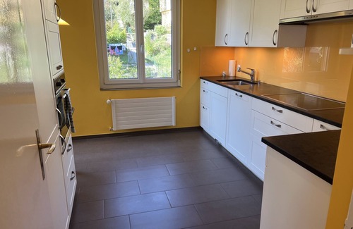 Neuchatel Apartment | Large penthouse apartment with lake view