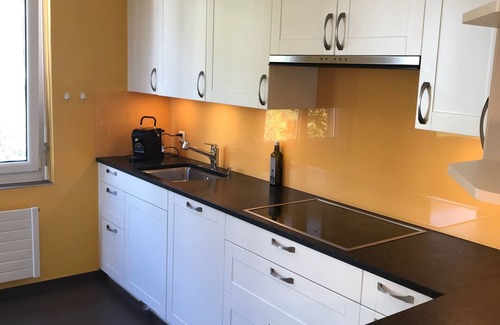 Neuchatel Apartment | Large penthouse apartment with lake view