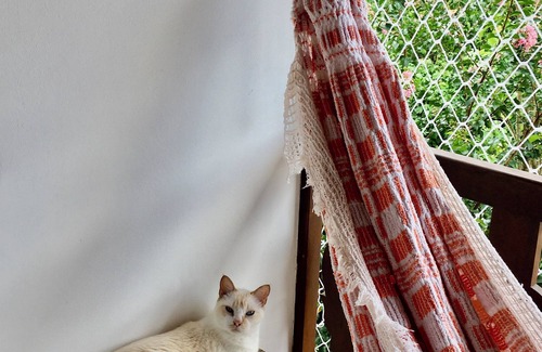 Cabore House | LARGE PRIVATE SUITE WITH BALCONY AND CLOSE TO THE HISTORIC CENTER. PET FRIENDLY
