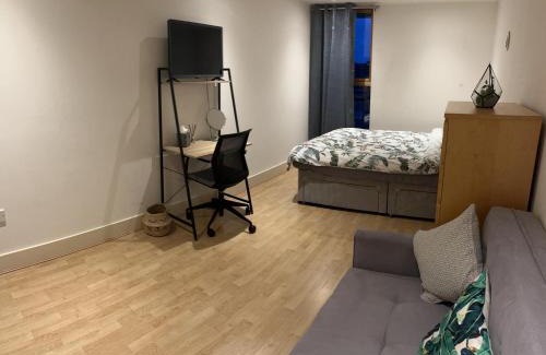 Island Gardens House | Large Room and Private Bathroom