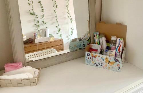 Dublin House | Large room in excellent location double or two singles