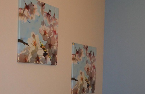 Faubourg North Apartment | large studio downtown cheap