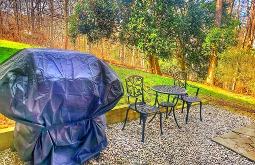 Springfield Apartment | Large Stylish Suite on Private Wooded Lot near DC