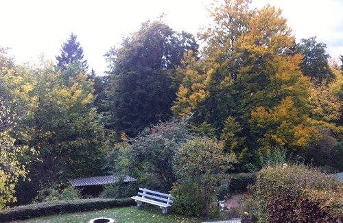Loffingen Apartment | Large, sunny apartment in the middle of the southern Black Forest in a quiet location