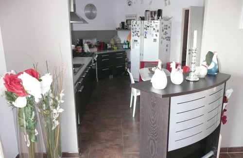 Ornaisons Villa | Large villa with pool in a peaceful vineyards and pine forest