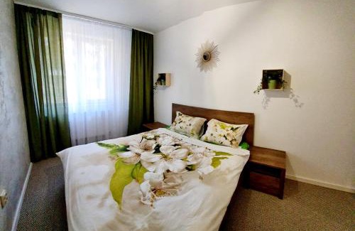 Cluj-Napoca Apartment | Larisa Apartment