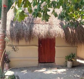 Rio Lagartos House | Las cabañas multumtab