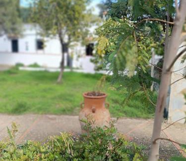 Higuera de la Sierra House | Las Casitas de Higuera