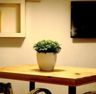 Xativa Apartment | Las Coles Apartasuites