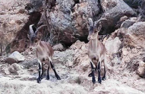 Almunecar Villa | Las Plomas 2