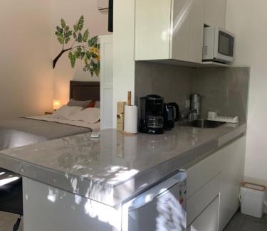 Cafayate Apartment | Las Tipas mini loft Cafayate
