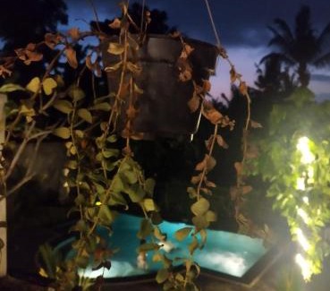 Mas Villa | Lasan mas