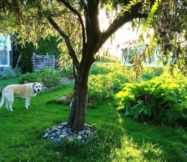 Tuatapere Hostel | Last Light Lodge
