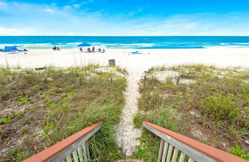 Fort Bay Apartment | Latitude 29 #10
