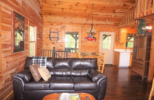 Blue Ridge Cabin | Laurel Lodge - Cozy, Waterfront Cabin on Fightingtown Creek - Dog Friendly
