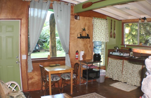 Keaau Apartment | Lava Apartment in Paradise!