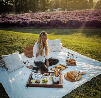 Franschhoek House | Lavender Farm Boutique Guest House