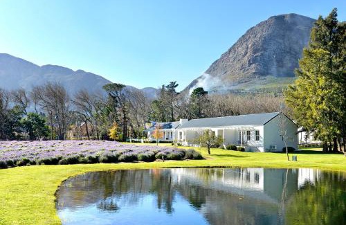 Franschhoek House | Lavender Farm Boutique Guest House