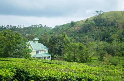 Elappara House | Lavender Plantation Stay vagamon
