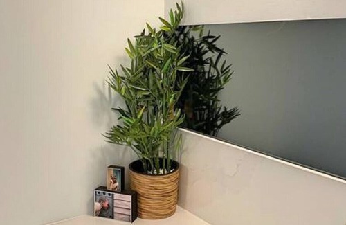 Reid Apartment | Lavish & Oversized 1 Bd 1Bth - Centre of the CBD