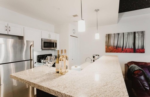 Mile Square Apartment | Lavish Penthouse Near Monument circle