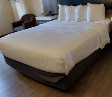 Puget Hotel | Lavissh inn and Suites