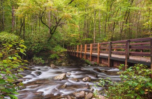 Gatlinburg - Pigeon Forge House | Lazy Bear Lake, Fishing, Hot Tub, WIFI, 685 in FREE Attraction tickets each paid day!