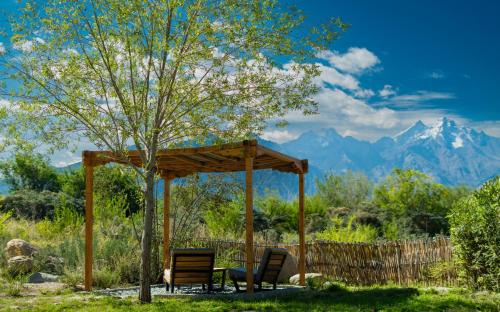 Nubra Valley Resort | Lchang Nang Retreat-THE HOUSE OF TREES-Nubra Valley