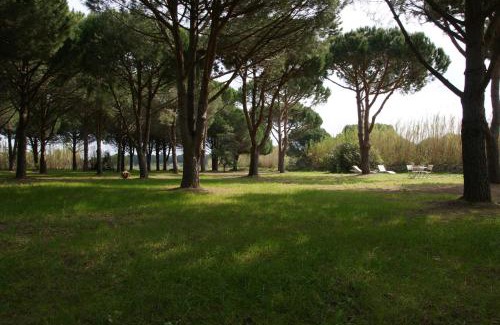 Ramatuelle Bed & Breakfast | Leï Souco