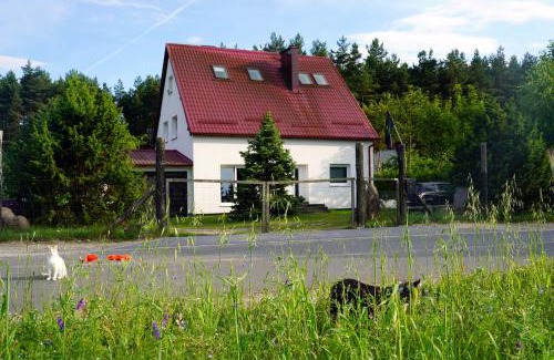 Cekcyn House | Leśna Kryjówka