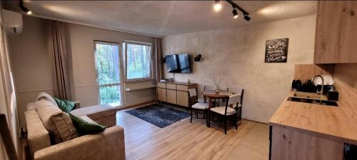 Sulejow Apartment | Leśne Apartmani Biała