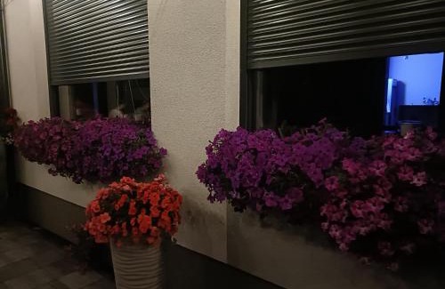 Lubniewice House | Leśne Niebo