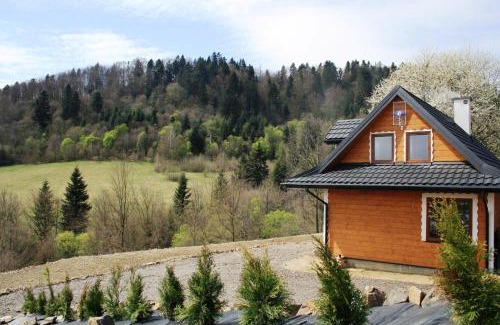 Solina Ski Chalet | Leśny Dworek 1