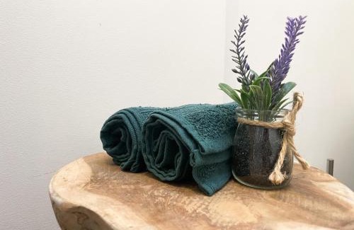 La Glacerie Apartment | Le 12 Bis - COSY