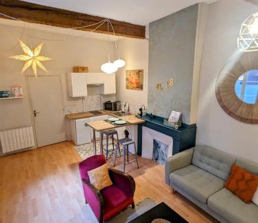 Saint-Etienne Apartment | "Le 18", Appartement Cocon, Hyper Centre Toulouse