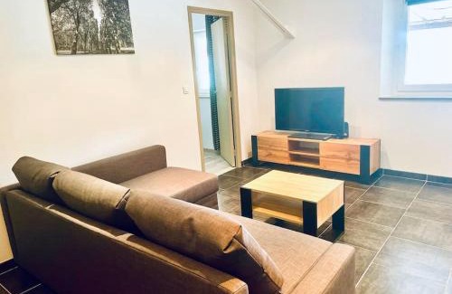 Damery Apartment | le 29 - Appartement au coeur du vignoble champenois