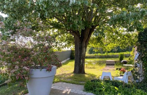 Mesland House | Le 7