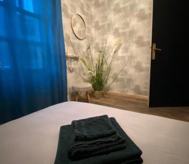 Nevers Apartment | - Le backpacker - logement atypique et spacieux en résidence avec ascenseur