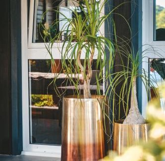Le Lamentin House | Le Baobab Rouge - Maison d'hôtes réservée aux femmes