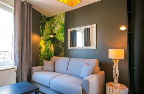 Saint-Roch - Badouillere - Chavanelle Apartment | Le Bois, T2 hypercentre chic et cosy, Wifi par SOVALFI