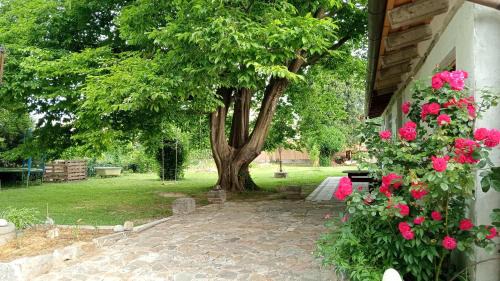 Manzano House | Le camere dell'Albero Bianco con uso cucina