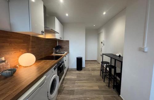 Les Platanes Apartment | Le Castillet chic